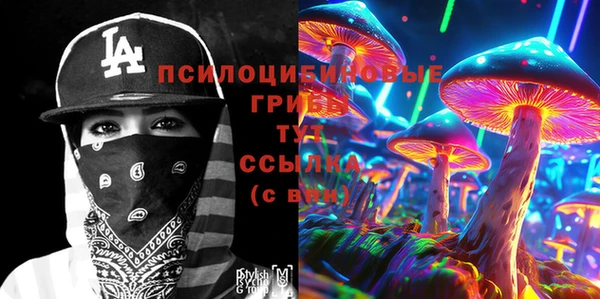 первитин Каменногорск