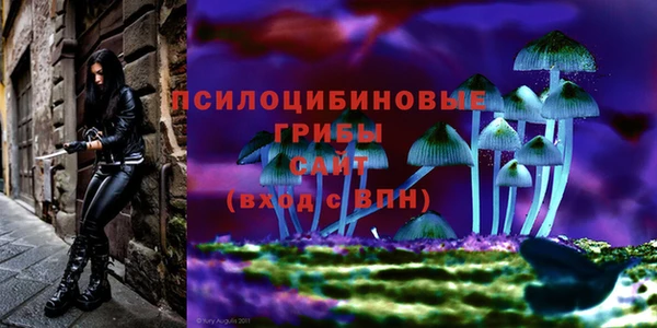 первитин Каменногорск
