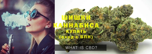 прущая мука Каменка