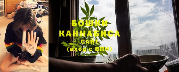 первитин Каменногорск